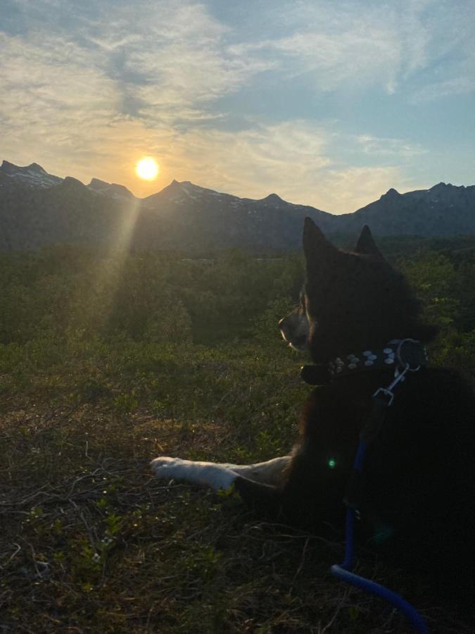 Nydelig Leilighet Pa Kreta I Lofoten Kabelvåg 外观 照片